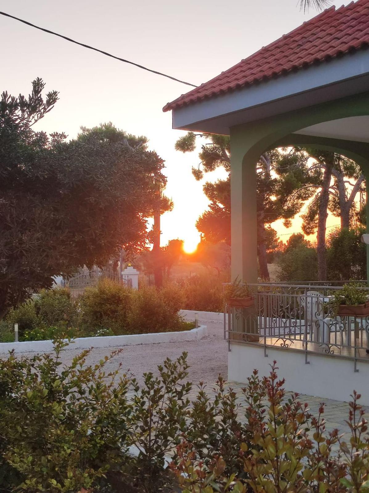 غالاتوني B&B Villa Vittorio المظهر الخارجي الصورة
