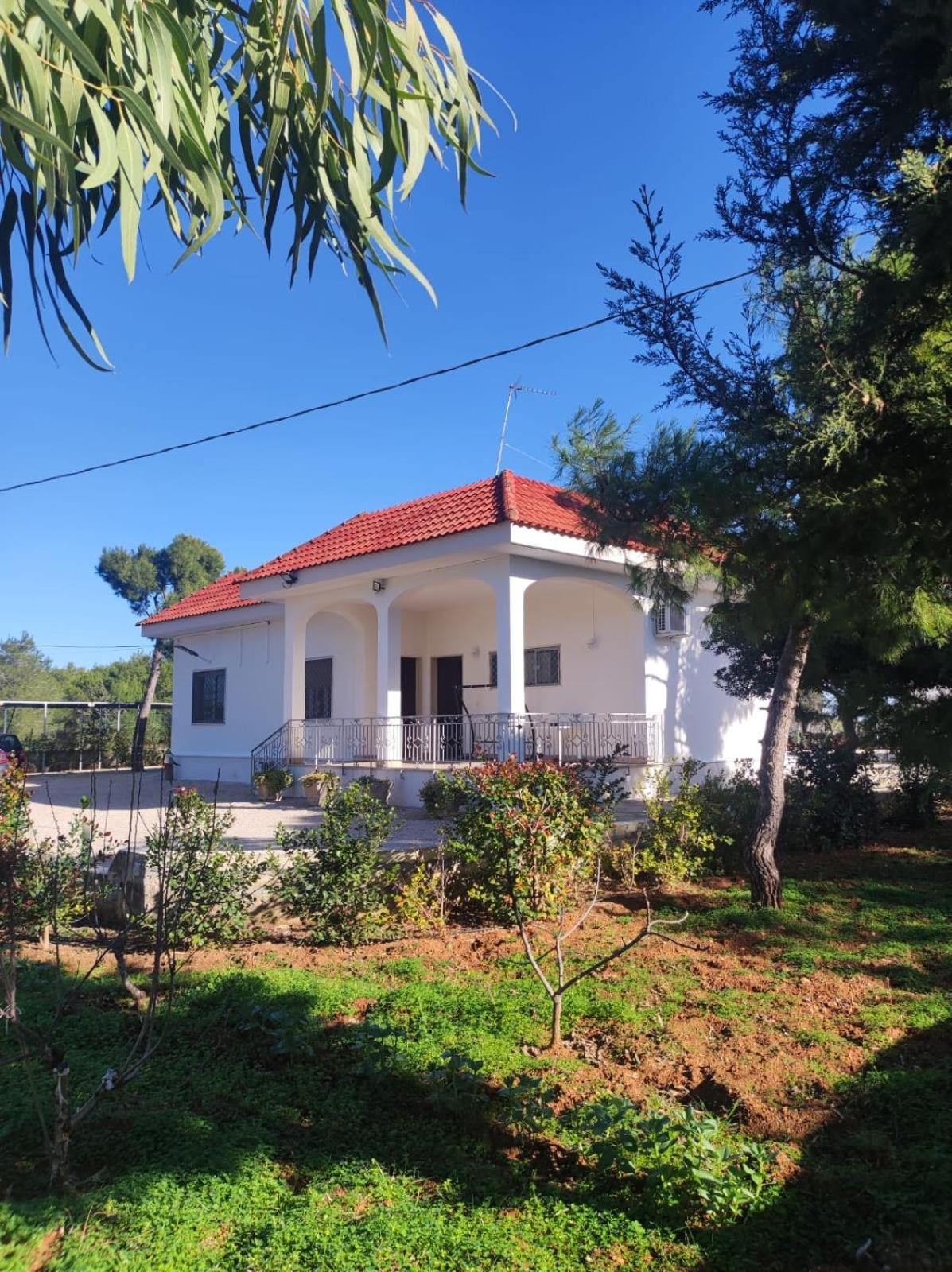 غالاتوني B&B Villa Vittorio المظهر الخارجي الصورة