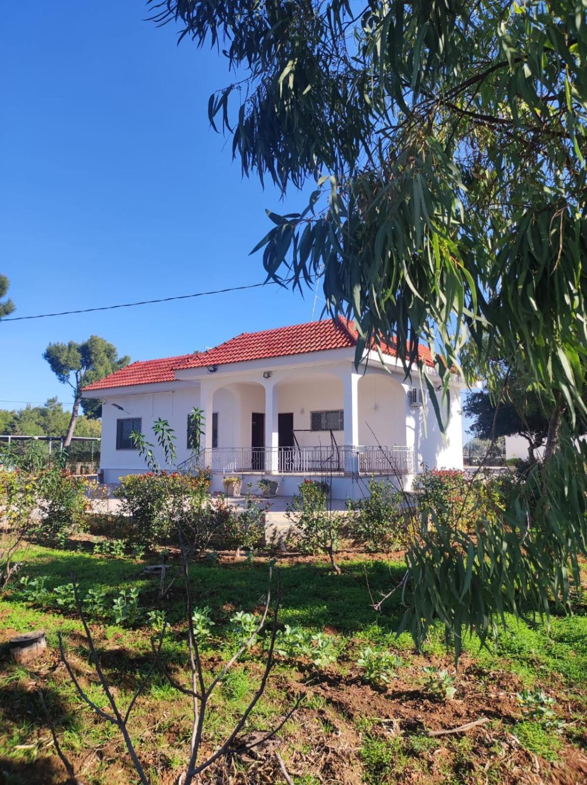 غالاتوني B&B Villa Vittorio المظهر الخارجي الصورة